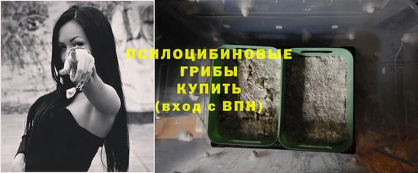 спайс Алексин