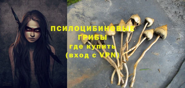 СК Новодвинск