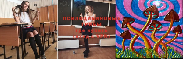 спайс Алексин