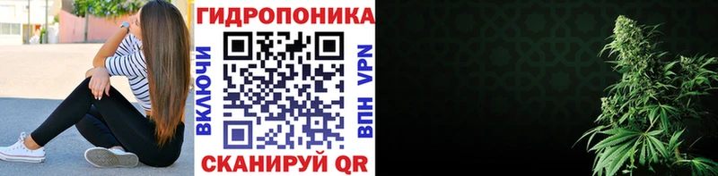 Каннабис план Андреаполь