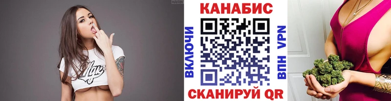 где можно купить наркотик  Андреаполь  Шишки марихуана THC 21% 
